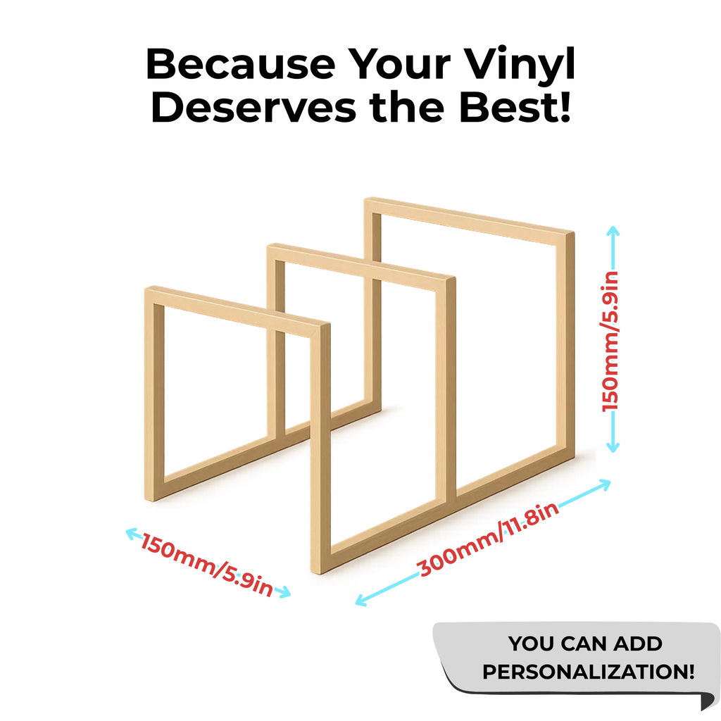 Stylish Vinyl Record Stand, Modern LP Holder, Handmade Metal Storage Rack