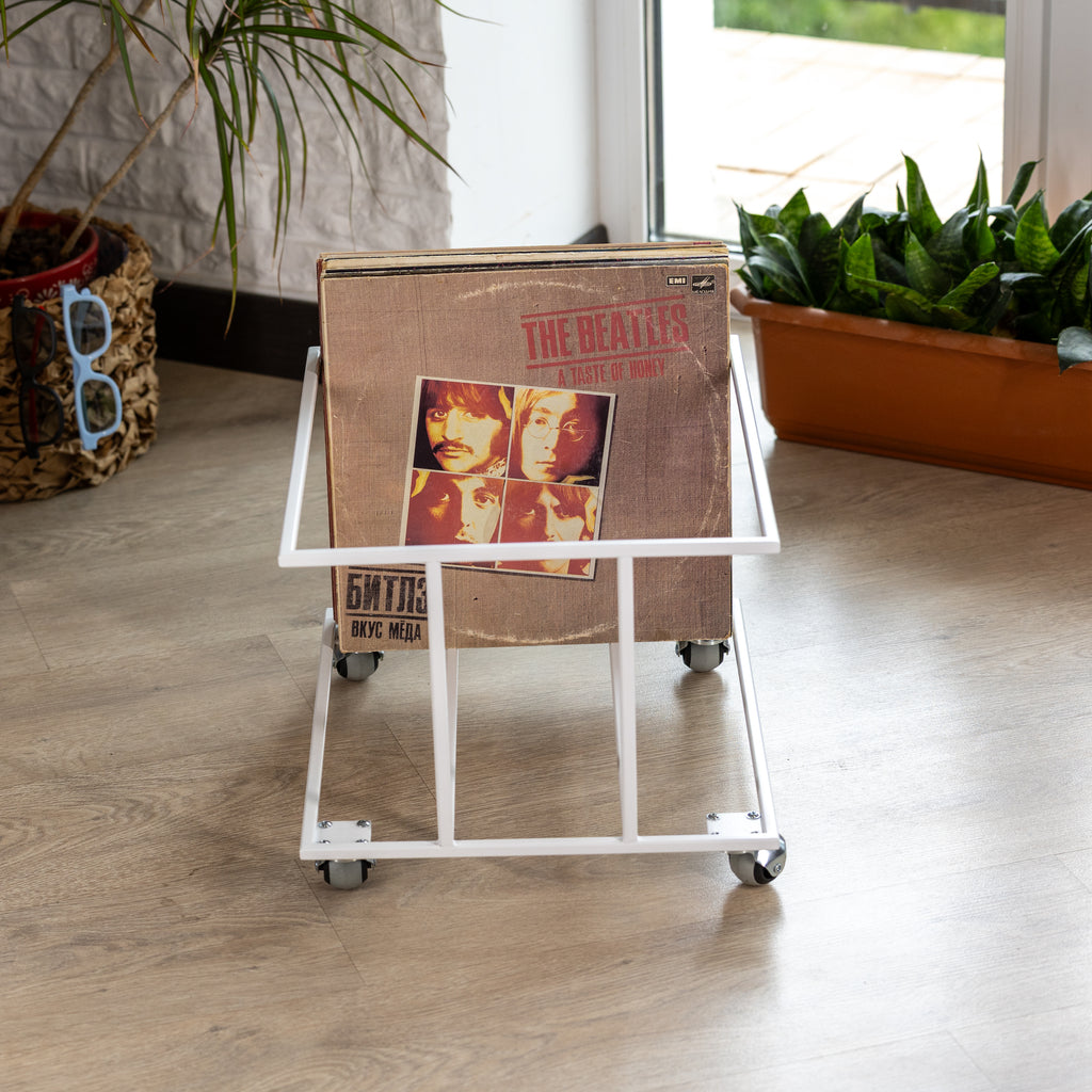 Record Holder Modern Vinyl Storage Record Organizer Metal LP Stand Handmade Music Shelf