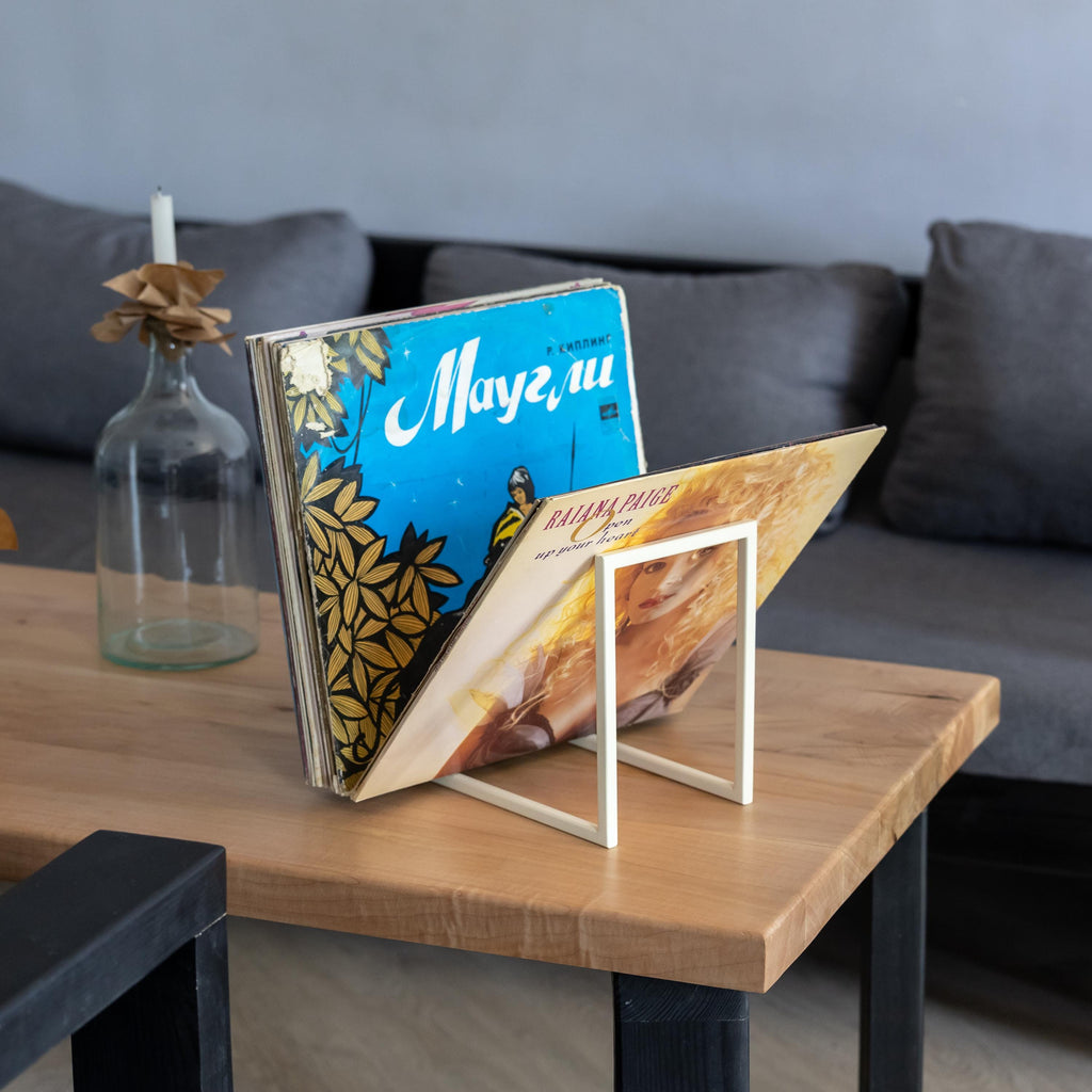 Stylish Vinyl Record Stand, Modern LP Holder, Handmade Metal Storage Rack