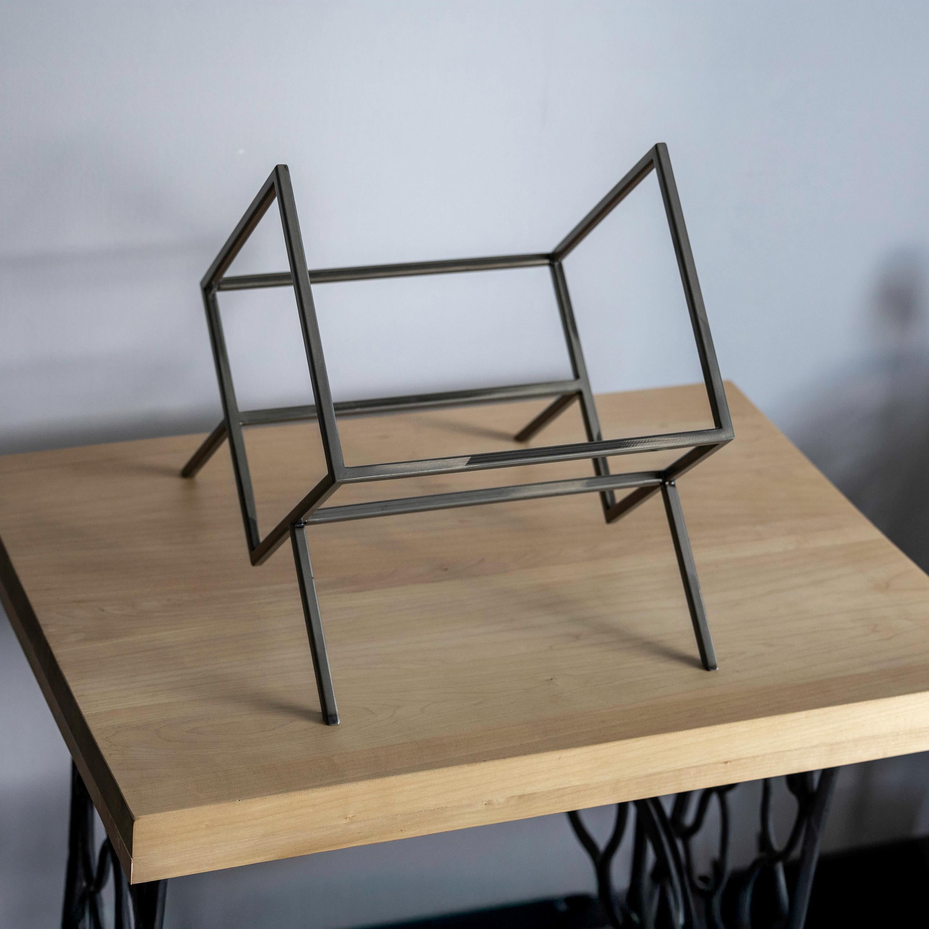 Vinyl Record Stand Metal LP Storage Rack Modern Record Holder Organizer